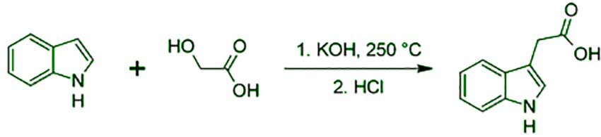 ایندول-۳-استیک-اسید