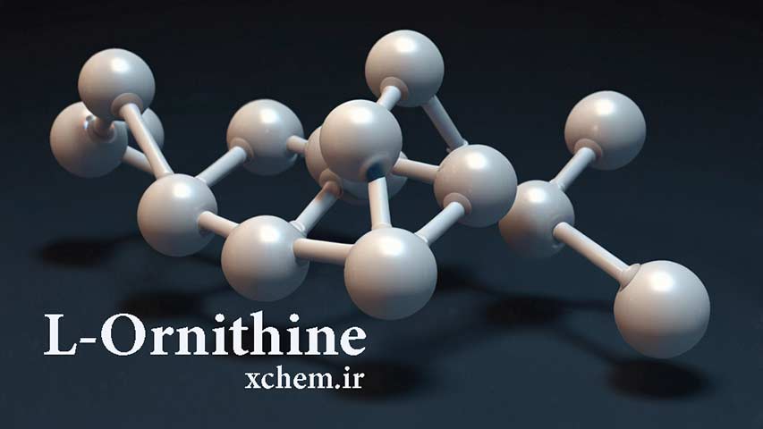 l-ornithine