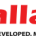 pallavchemical-logo